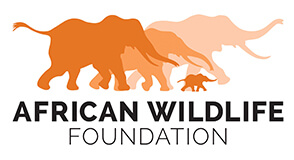 african wildlife foundation