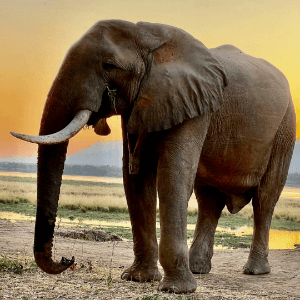 February 2025 Newsletter