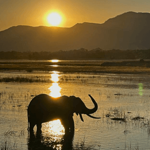 July 2025 Newsletter